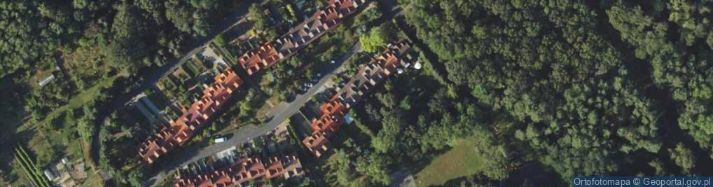 Zdjęcie satelitarne Rybno ul.
