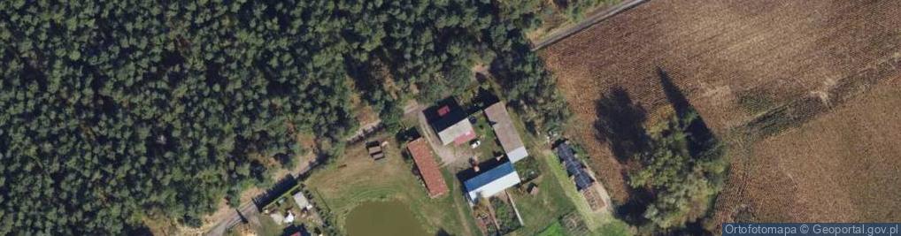 Zdjęcie satelitarne Rybno ul.