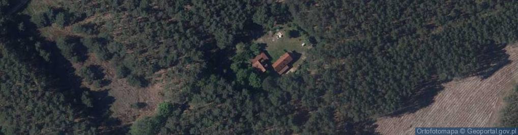 Zdjęcie satelitarne Rybojady ul.