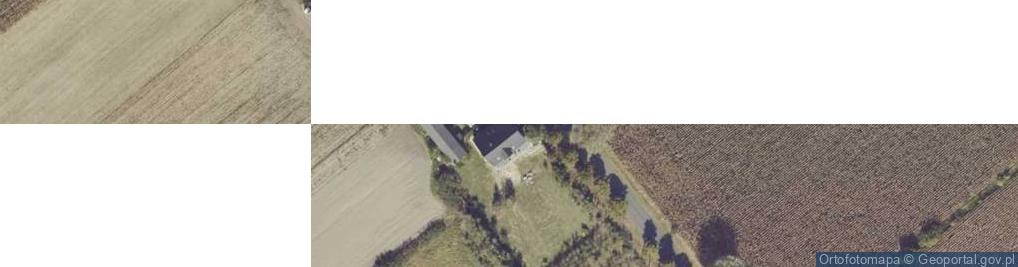 Zdjęcie satelitarne Rycerzew ul.