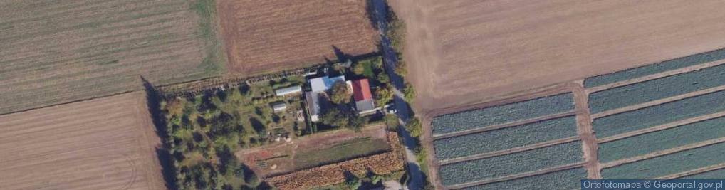 Zdjęcie satelitarne Rycerzewko ul.