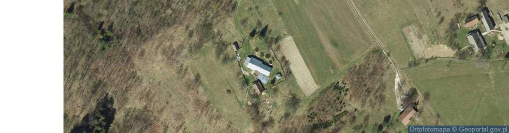 Zdjęcie satelitarne Rychwałd ul.