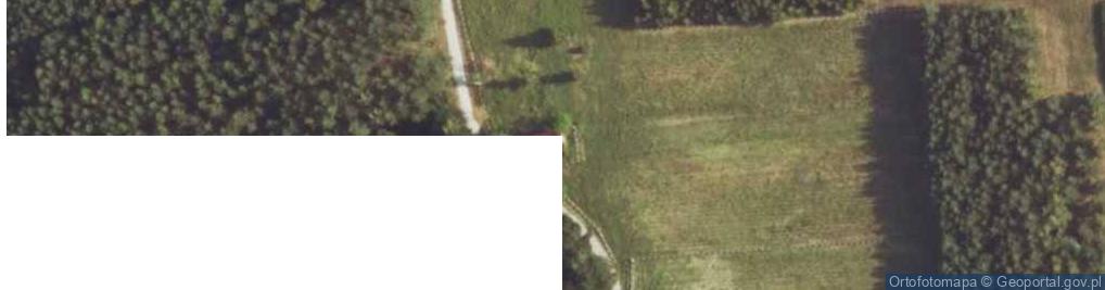 Zdjęcie satelitarne Rydzew ul.