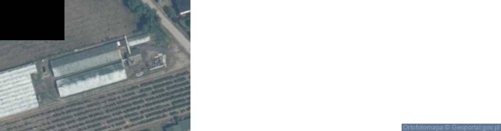 Zdjęcie satelitarne Rykały ul.
