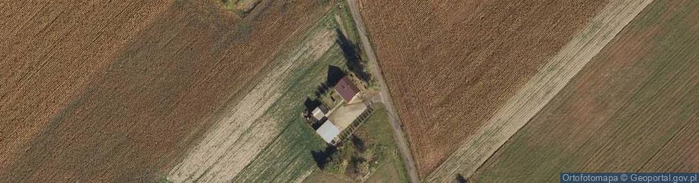 Zdjęcie satelitarne Ryszardów ul.