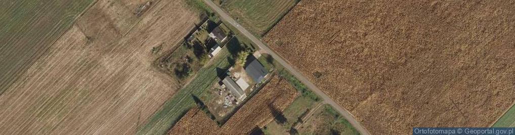 Zdjęcie satelitarne Ryszardów ul.