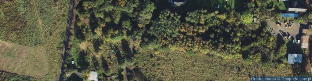 Zdjęcie satelitarne Rybacka ul.