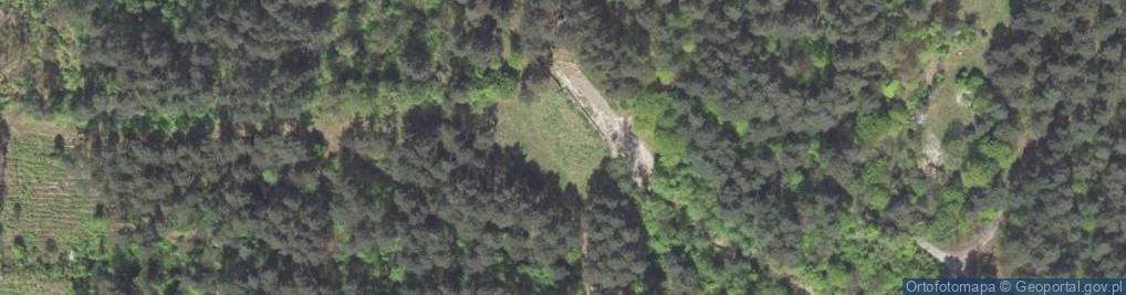 Zdjęcie satelitarne Ryszka ul.