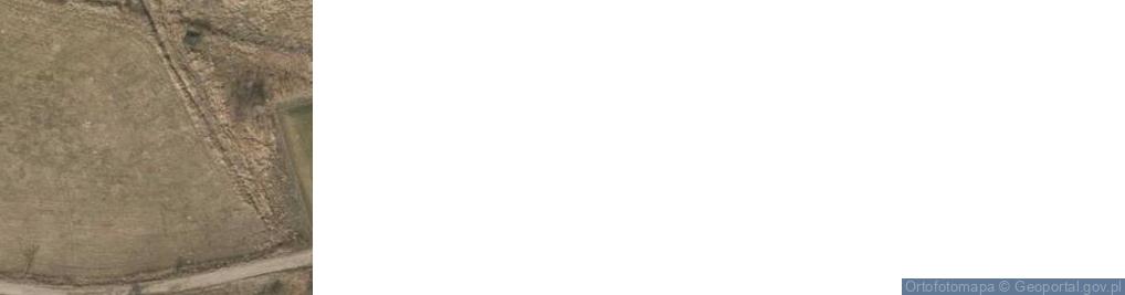 Zdjęcie satelitarne Rybna ul.