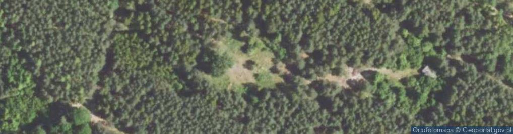 Zdjęcie satelitarne Rytwiańska ul.