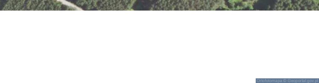 Zdjęcie satelitarne Rytwiańska ul.