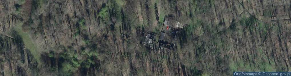 Zdjęcie satelitarne Rychla Jana ul.