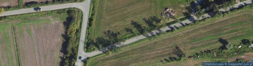 Zdjęcie satelitarne Rzepakowa ul.