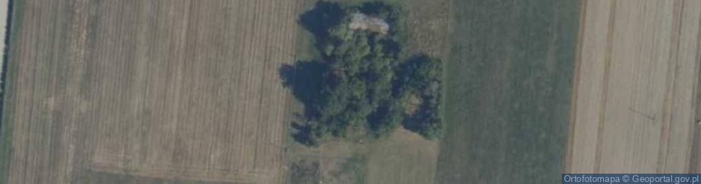 Zdjęcie satelitarne Rzążew ul.