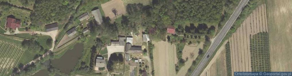 Zdjęcie satelitarne Rzeczyca-Kolonia ul.