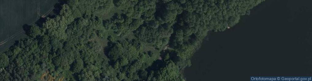 Zdjęcie satelitarne Rzeczyca ul.