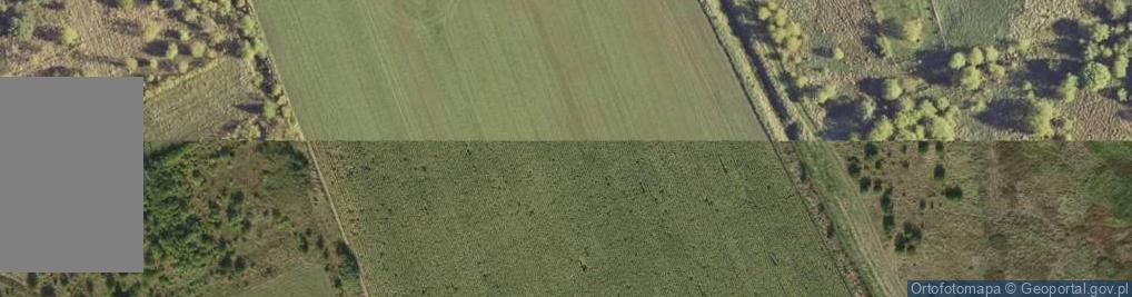 Zdjęcie satelitarne Rzemień ul.