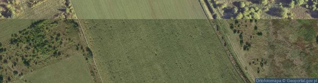 Zdjęcie satelitarne Rzemień ul.