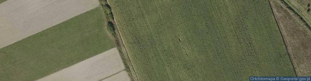 Zdjęcie satelitarne Rzemień ul.