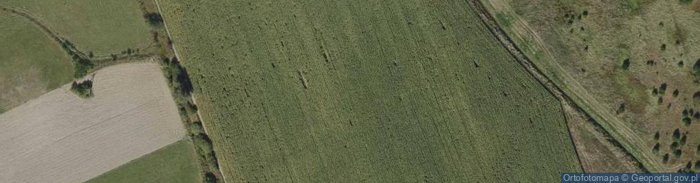 Zdjęcie satelitarne Rzemień ul.