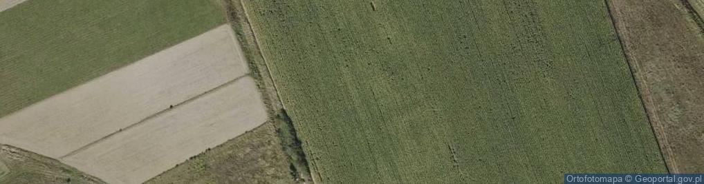 Zdjęcie satelitarne Rzemień ul.