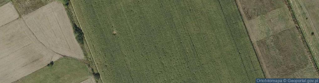 Zdjęcie satelitarne Rzemień ul.