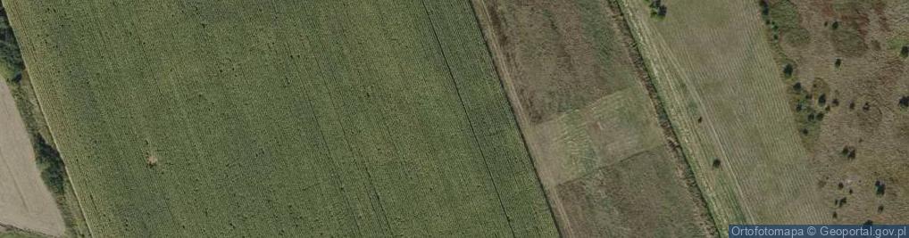 Zdjęcie satelitarne Rzemień ul.