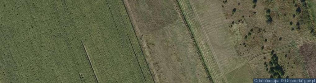 Zdjęcie satelitarne Rzemień ul.