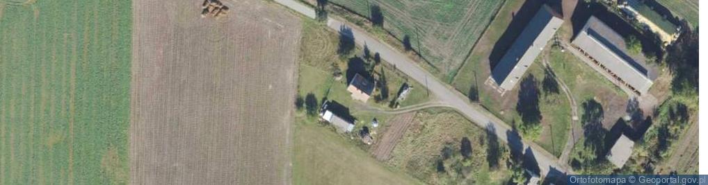 Zdjęcie satelitarne Rzemieniewice ul.