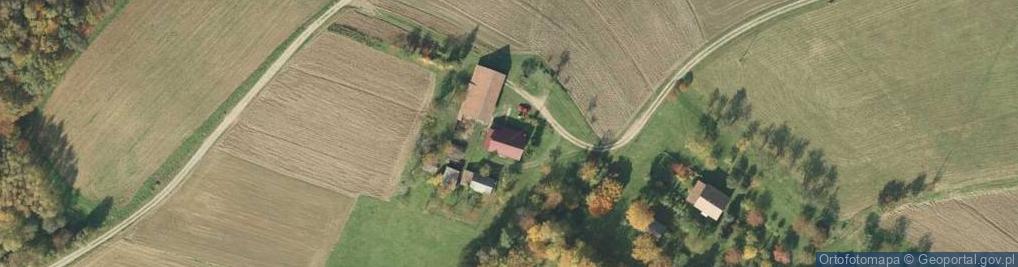 Zdjęcie satelitarne Rzepiennik Marciszewski ul.