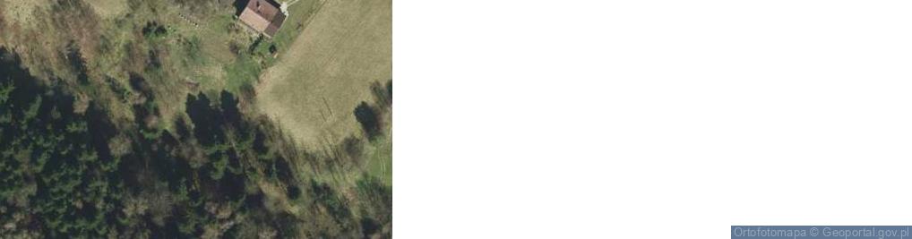Zdjęcie satelitarne Rzepiennik Marciszewski ul.