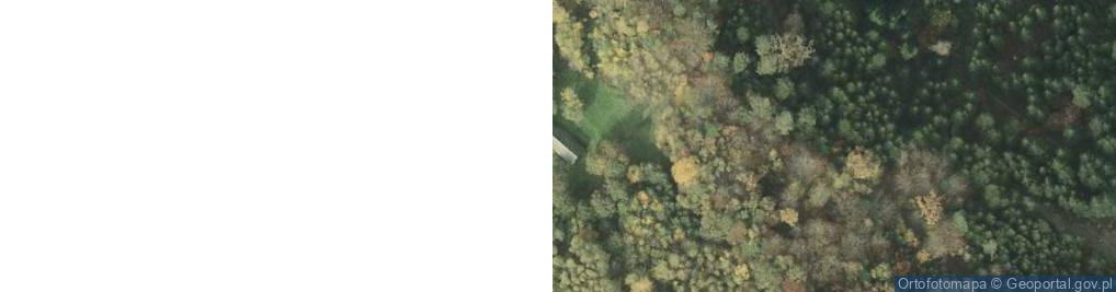 Zdjęcie satelitarne Rzepiennik Marciszewski ul.