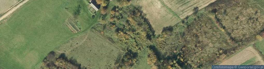 Zdjęcie satelitarne Rzepiennik Strzyżewski ul.