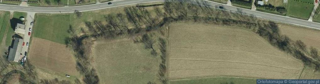 Zdjęcie satelitarne Rzepiennik Strzyżewski ul.
