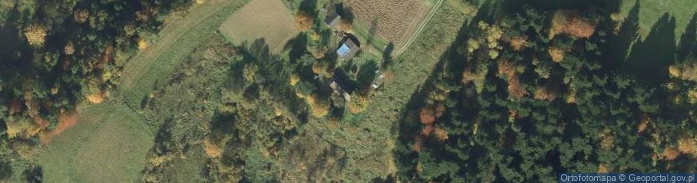Zdjęcie satelitarne Rzepiennik Strzyżewski ul.