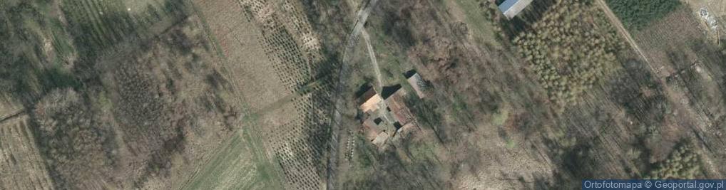 Zdjęcie satelitarne Rzeplin ul.
