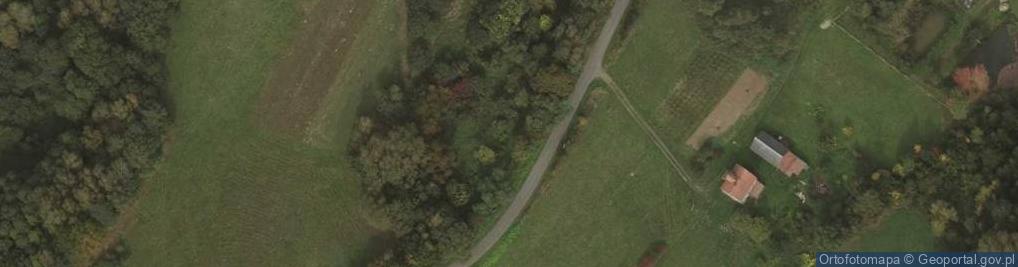 Zdjęcie satelitarne Rzepnik ul.