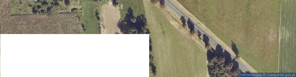 Zdjęcie satelitarne Rzymsko ul.