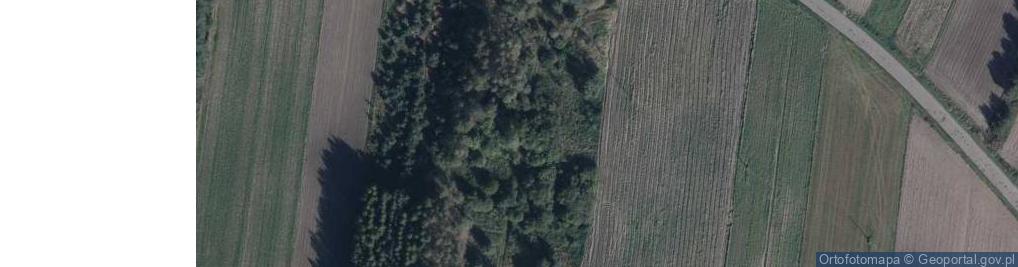 Zdjęcie satelitarne Rzymy-Las ul.