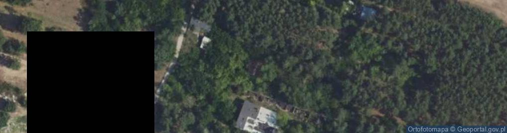 Zdjęcie satelitarne Rżyska ul.