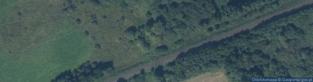 Zdjęcie satelitarne Rzyszczewko ul.