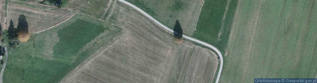 Zdjęcie satelitarne Sadowa ul.