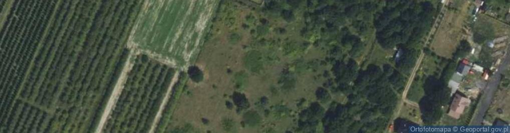 Zdjęcie satelitarne Sasanki ul.