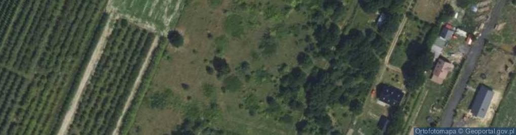 Zdjęcie satelitarne Sasanki ul.