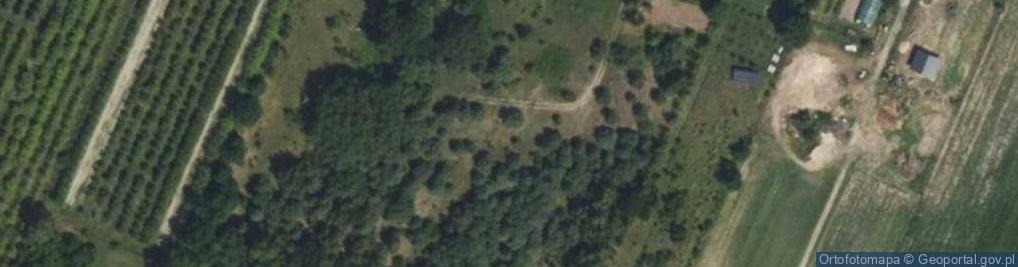 Zdjęcie satelitarne Sasanki ul.