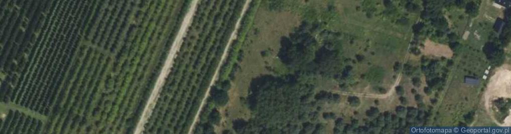 Zdjęcie satelitarne Sasanki ul.