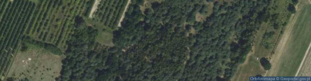 Zdjęcie satelitarne Sasanki ul.