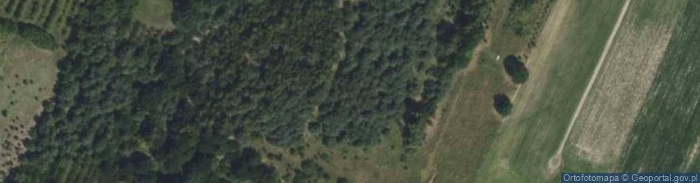 Zdjęcie satelitarne Sasanki ul.