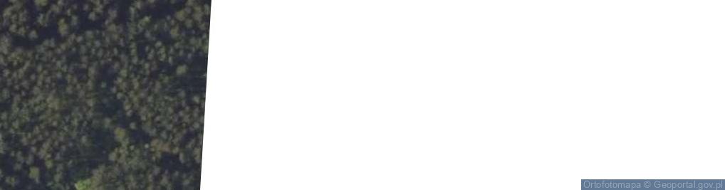 Zdjęcie satelitarne Sarnia ul.