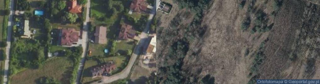 Zdjęcie satelitarne Salamandry ul.